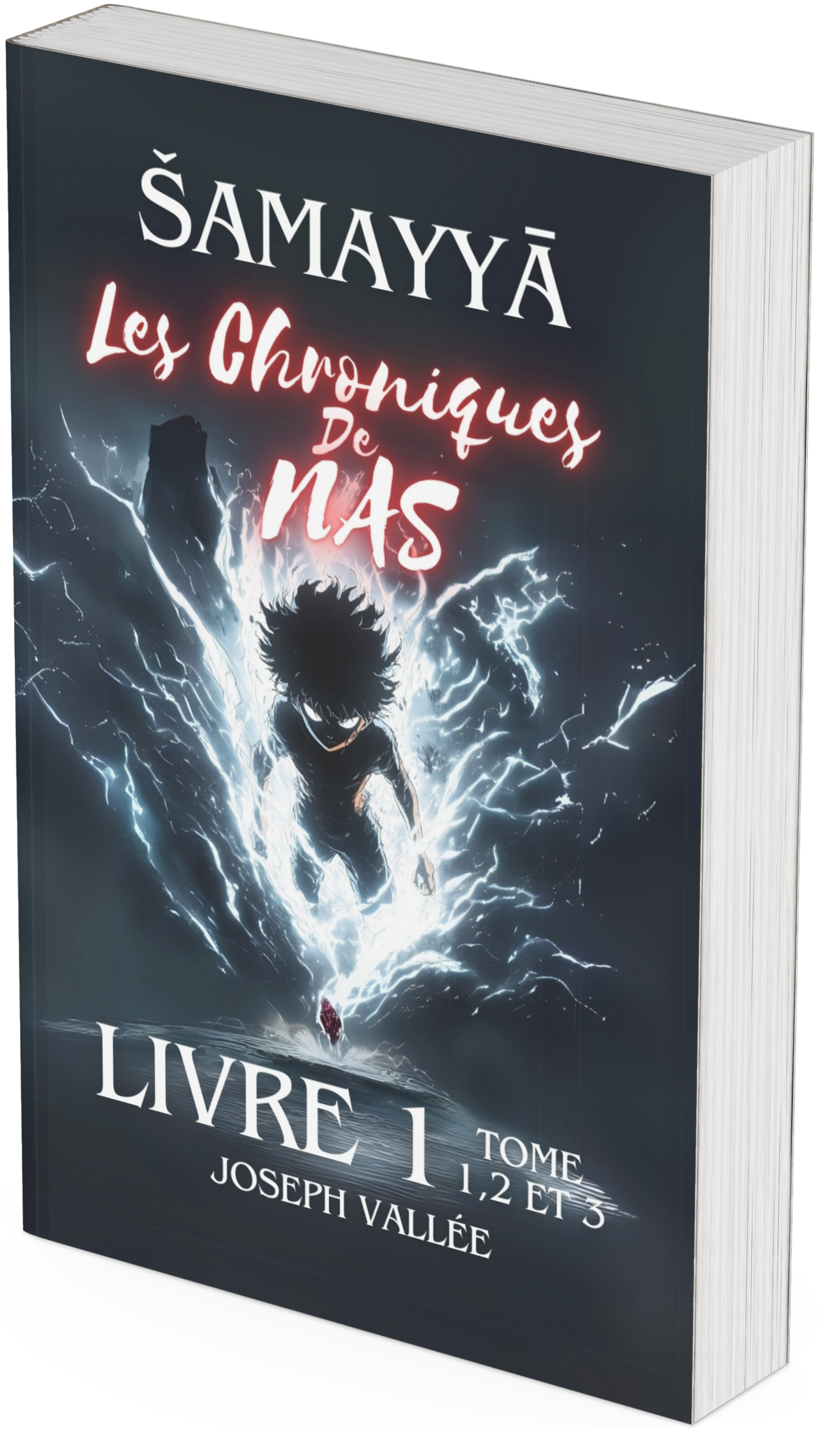 Les Chroniques de NaS