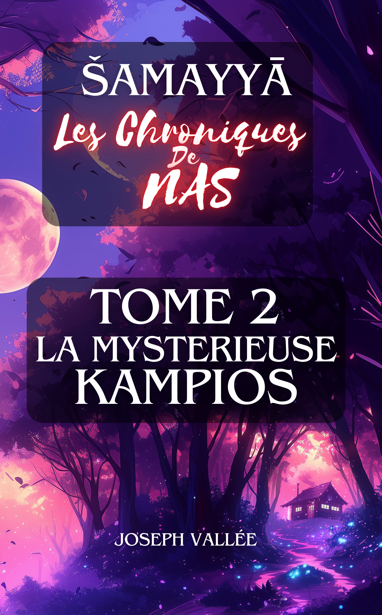 Copertina del Volume 2