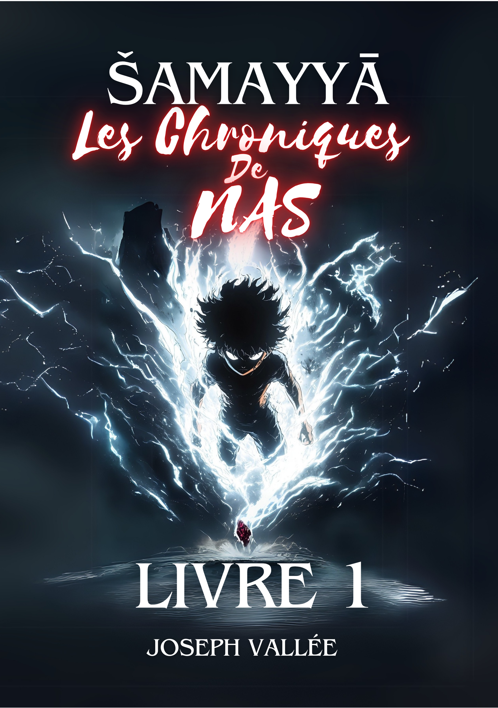 Copertina del Libro 1 - Le Cronache di Nas